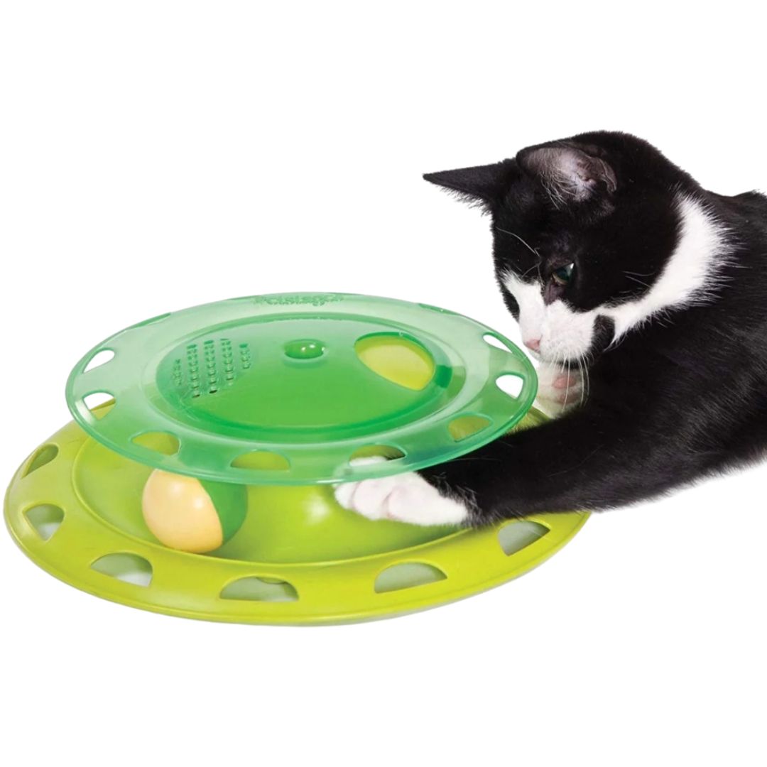 Catnip Chaser