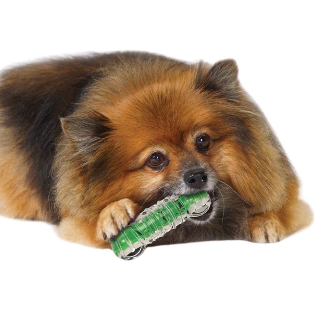 Petstages CrunchCore