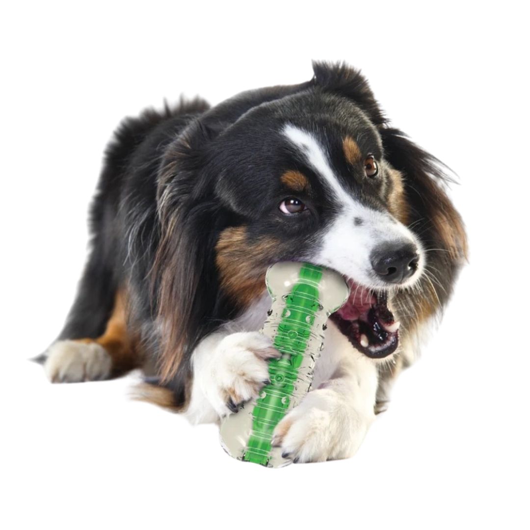 Petstages CrunchCore