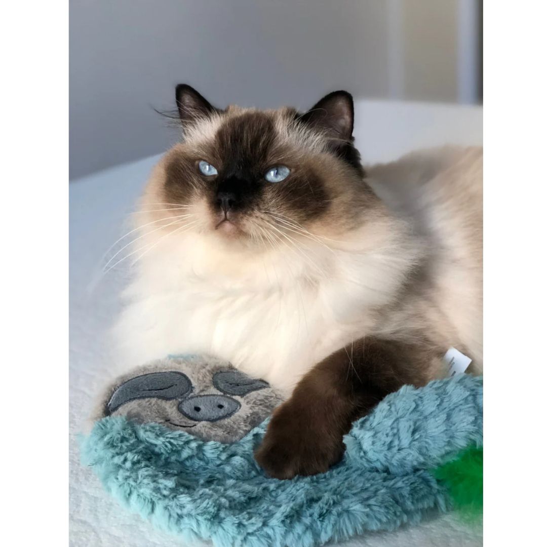 Snoozin Sloth Purr Pillow