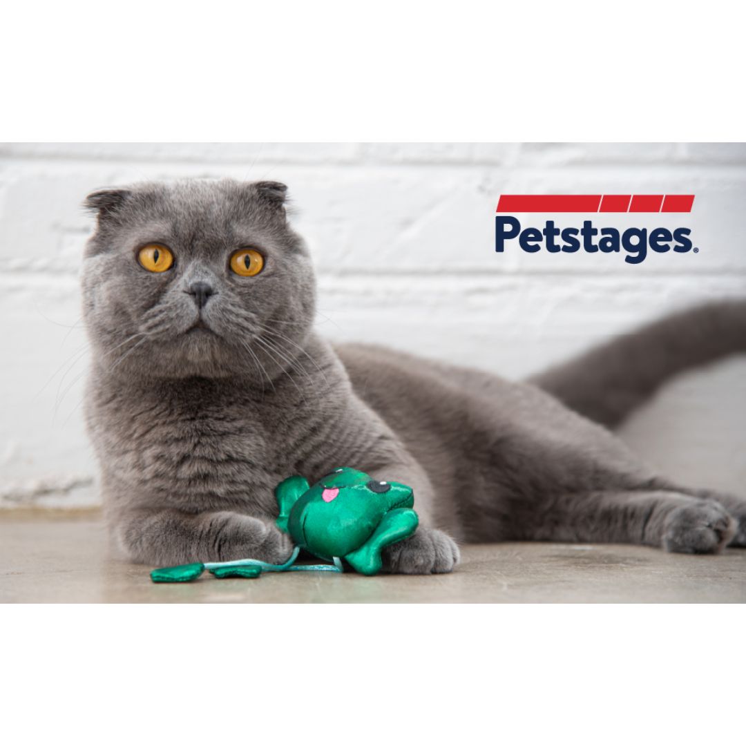 Petstages Toss 'n Dangle Frog