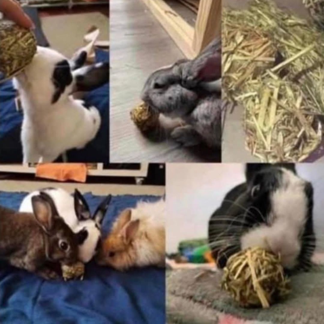 Hay Balls - 6 Pack