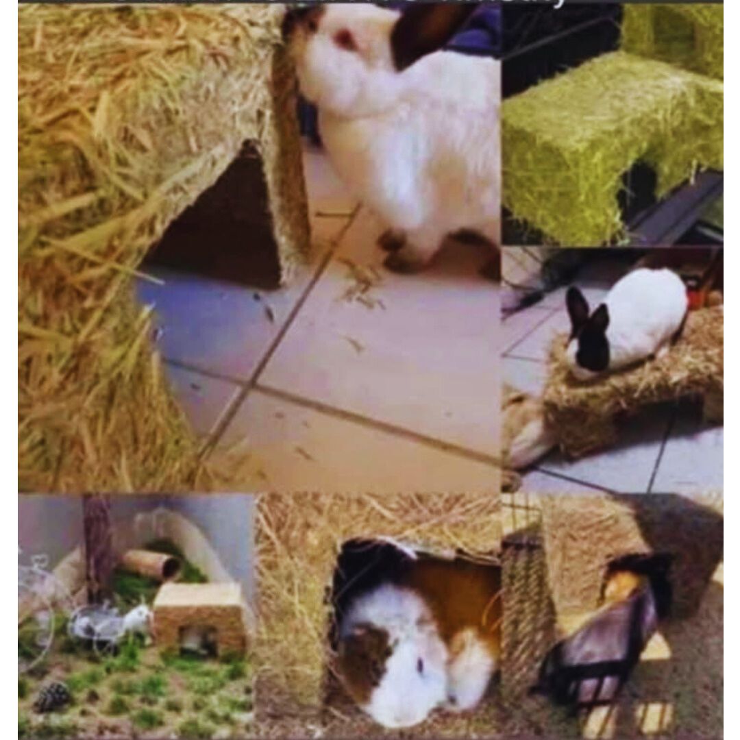 Hay Hidey Houses