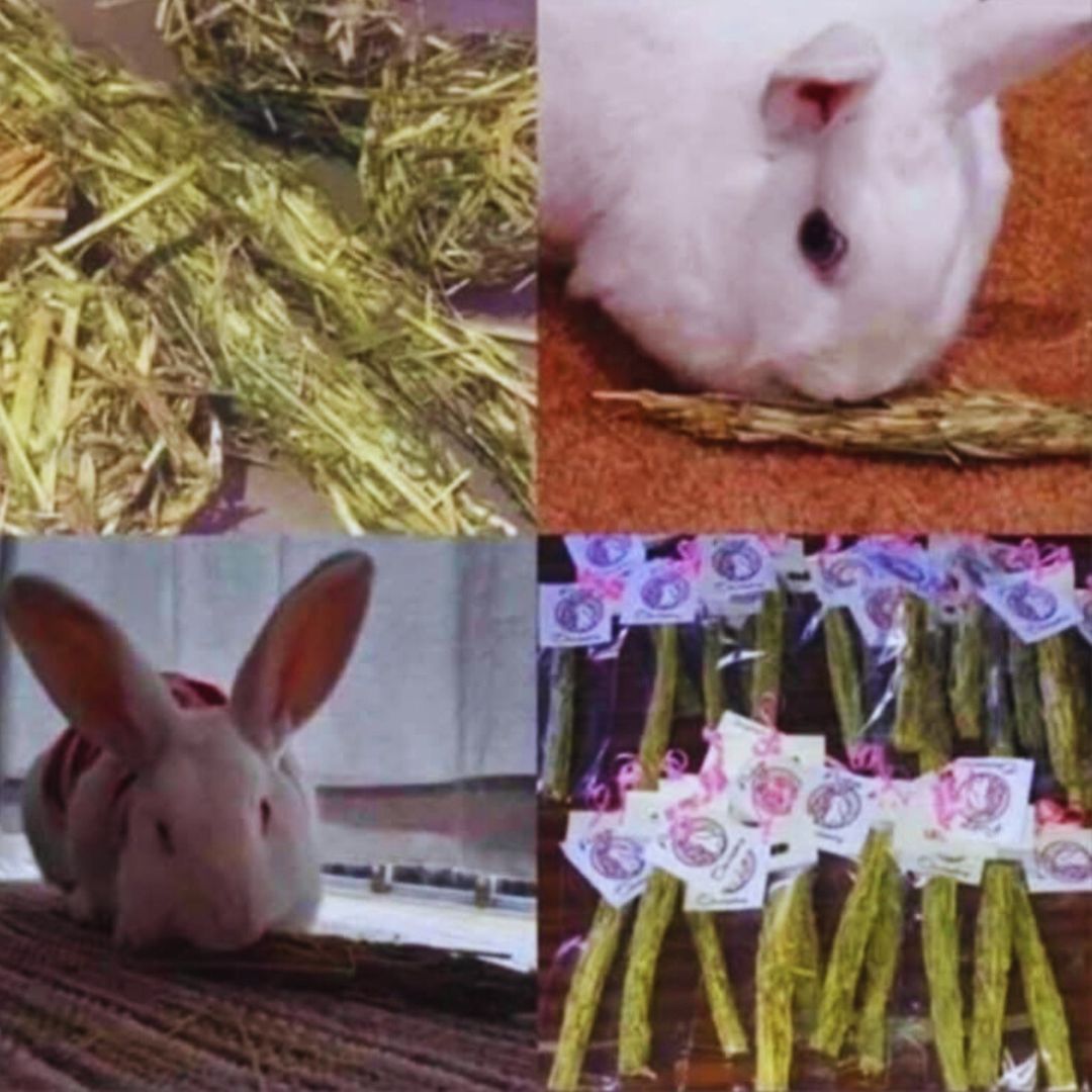 Hay Sticks - 6 Pack