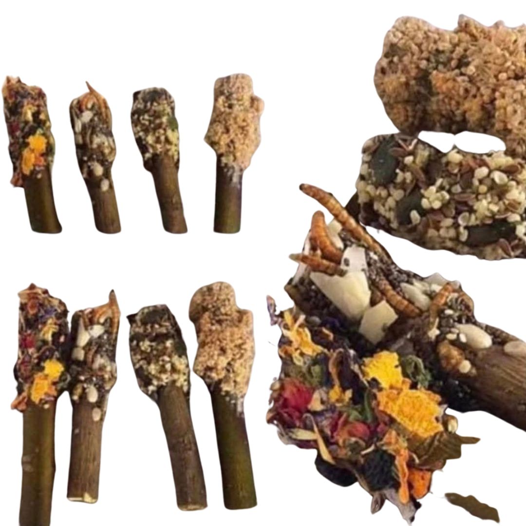 Monthly Hamster Essentials Box