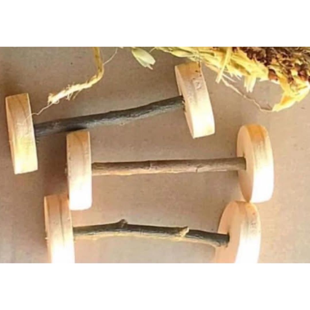 Rat & Hamster Dumbbells