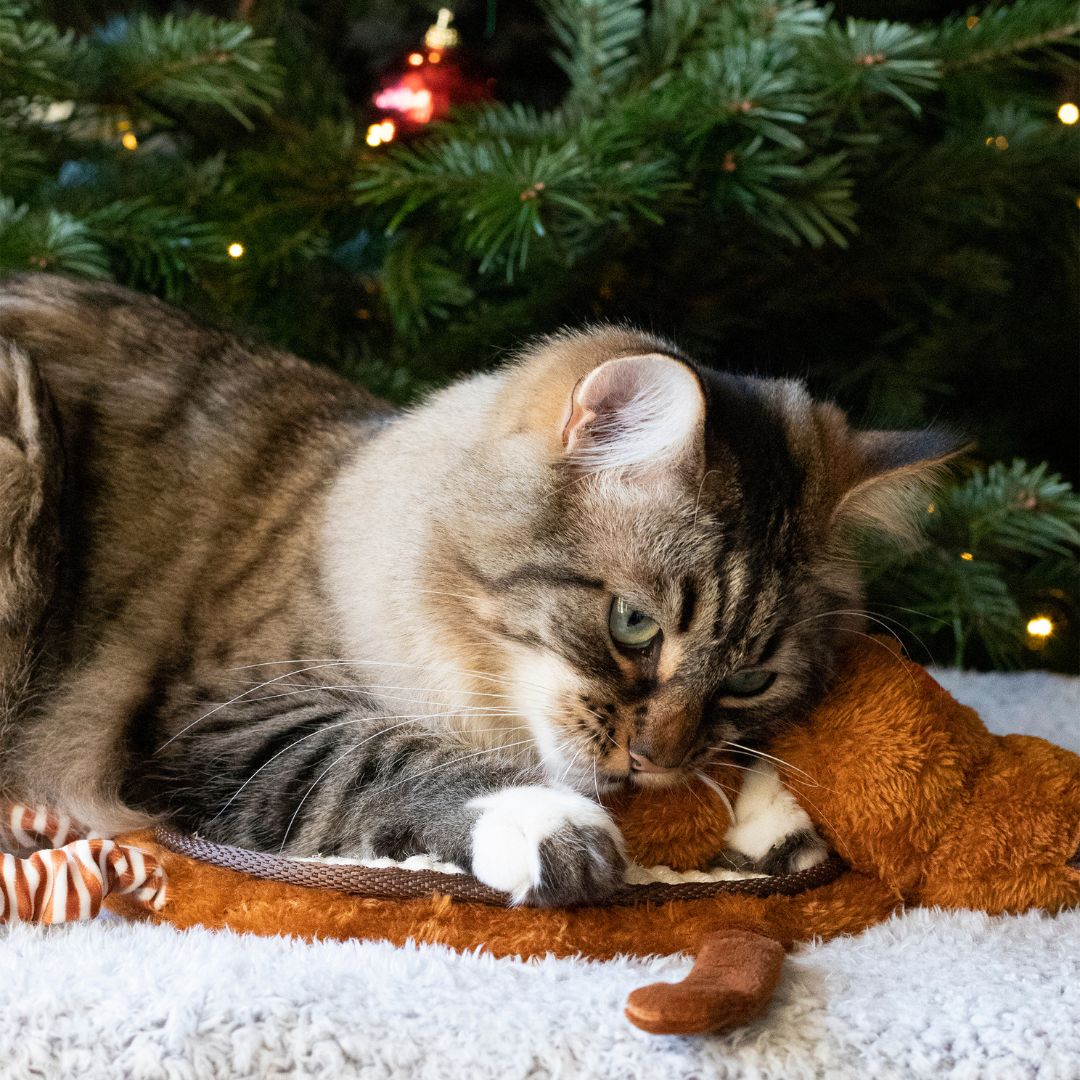 Reindeer Scratcher Mat