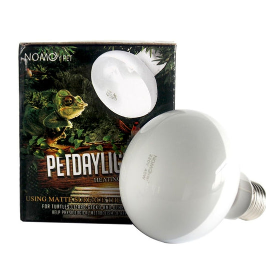 Reptile Basking Spot Lamp 25W