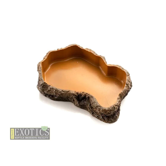 Reptile Food Dish – Medium