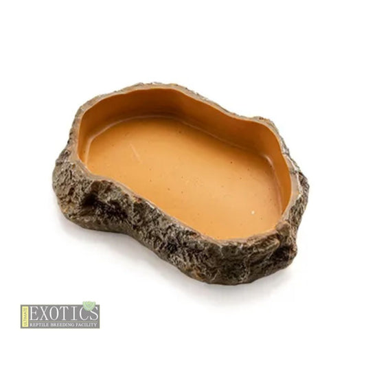 Reptile Food Dish – Small