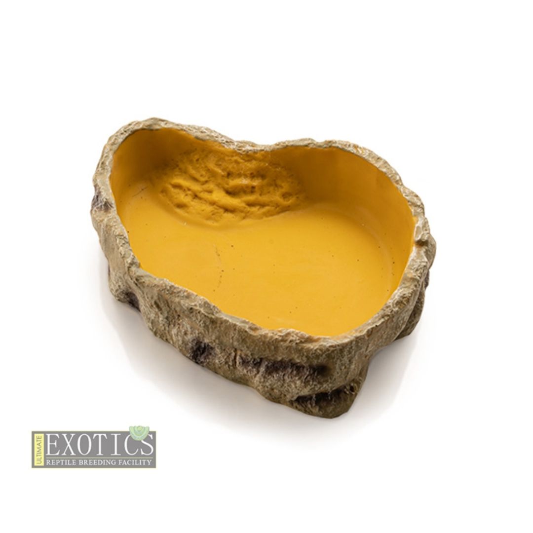 Reptile Water Dish – Large