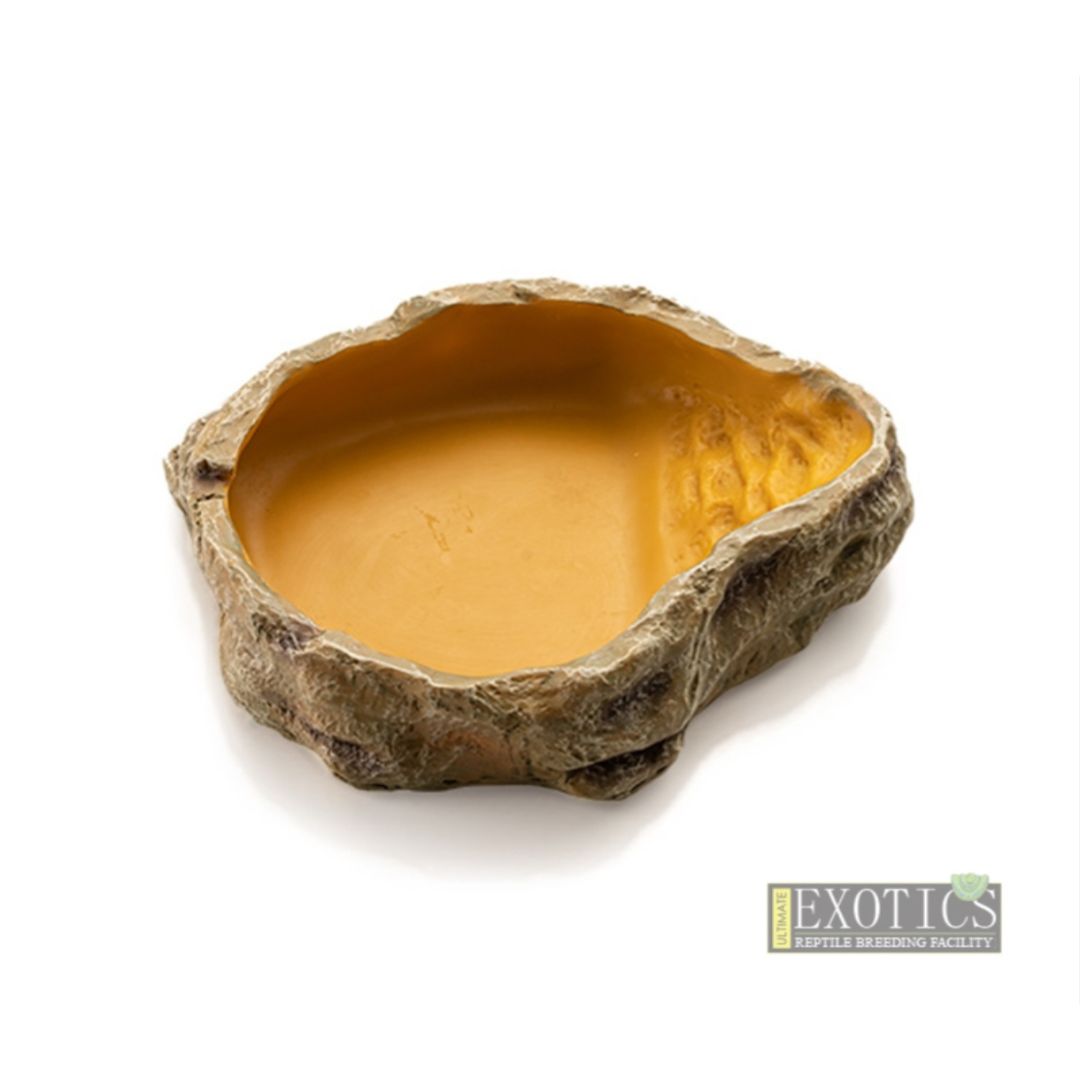 Reptile Water Dish – Medium