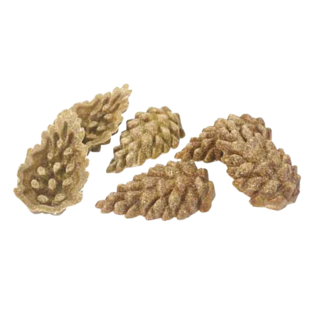 Rosewood Veggie Burst Pine Cones