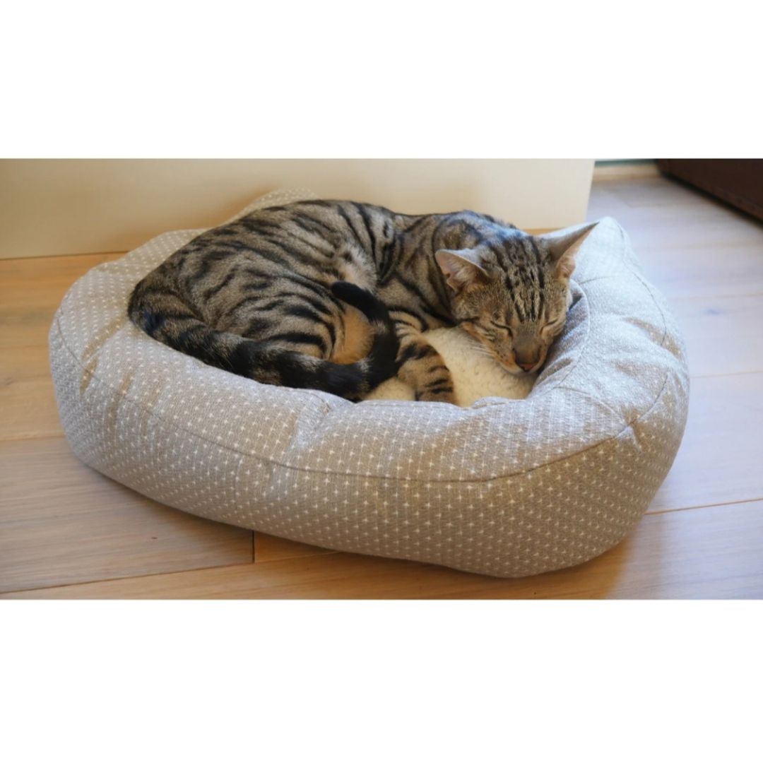 Rosewood Dotty Feline Bed (56cm)