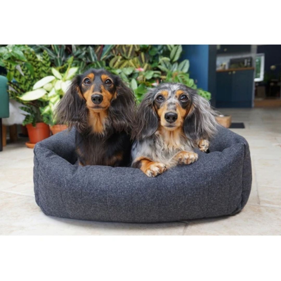 Rosewood Grey Felt with Memory Foam Square Bed
