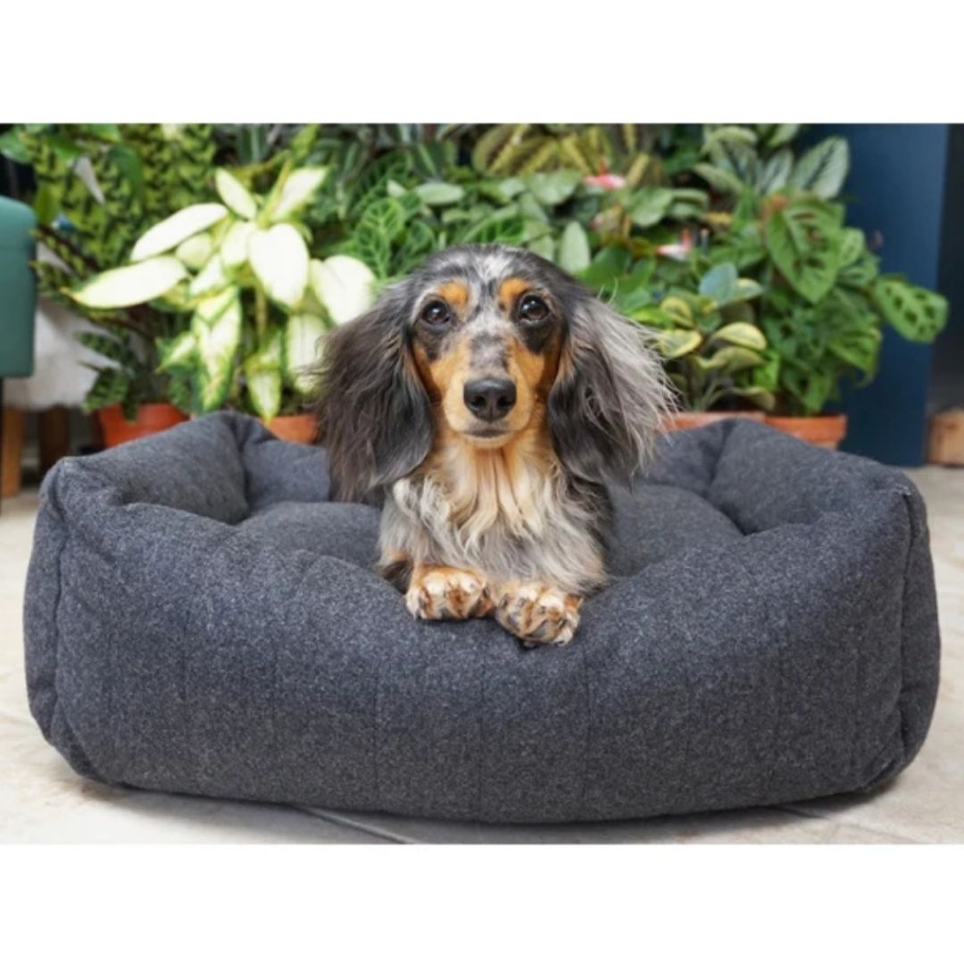 Rosewood Grey Felt with Memory Foam Square Bed