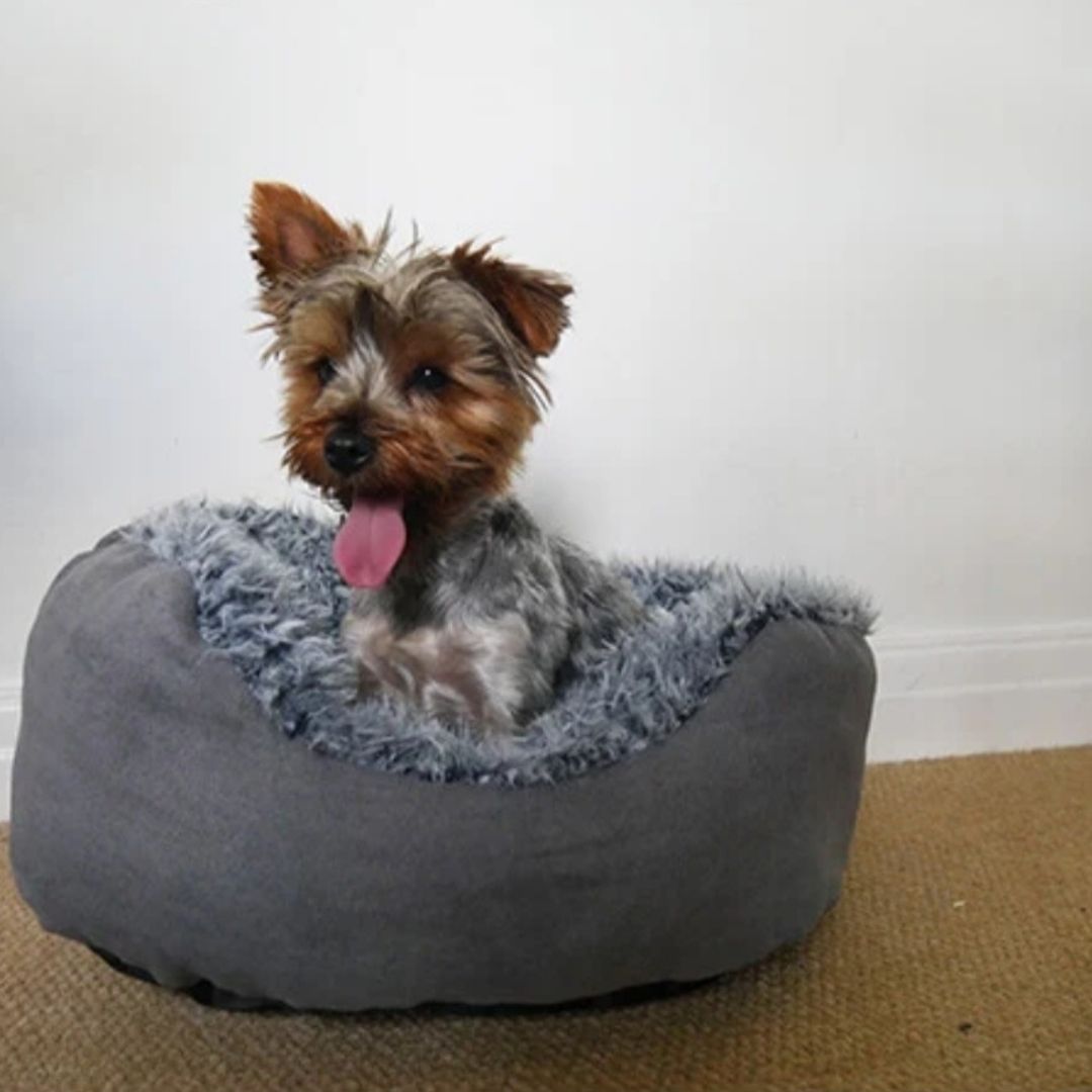 Rosewood Grey Lion Faux Suede Oval Bed