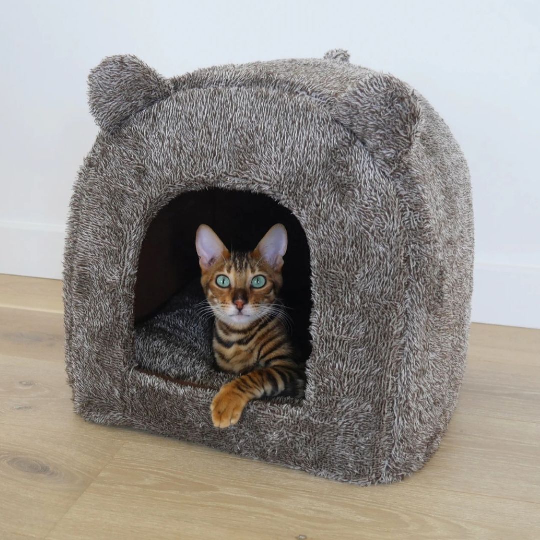Rosewood Teddy Bear Cat Bed (38cm x 38cm)
