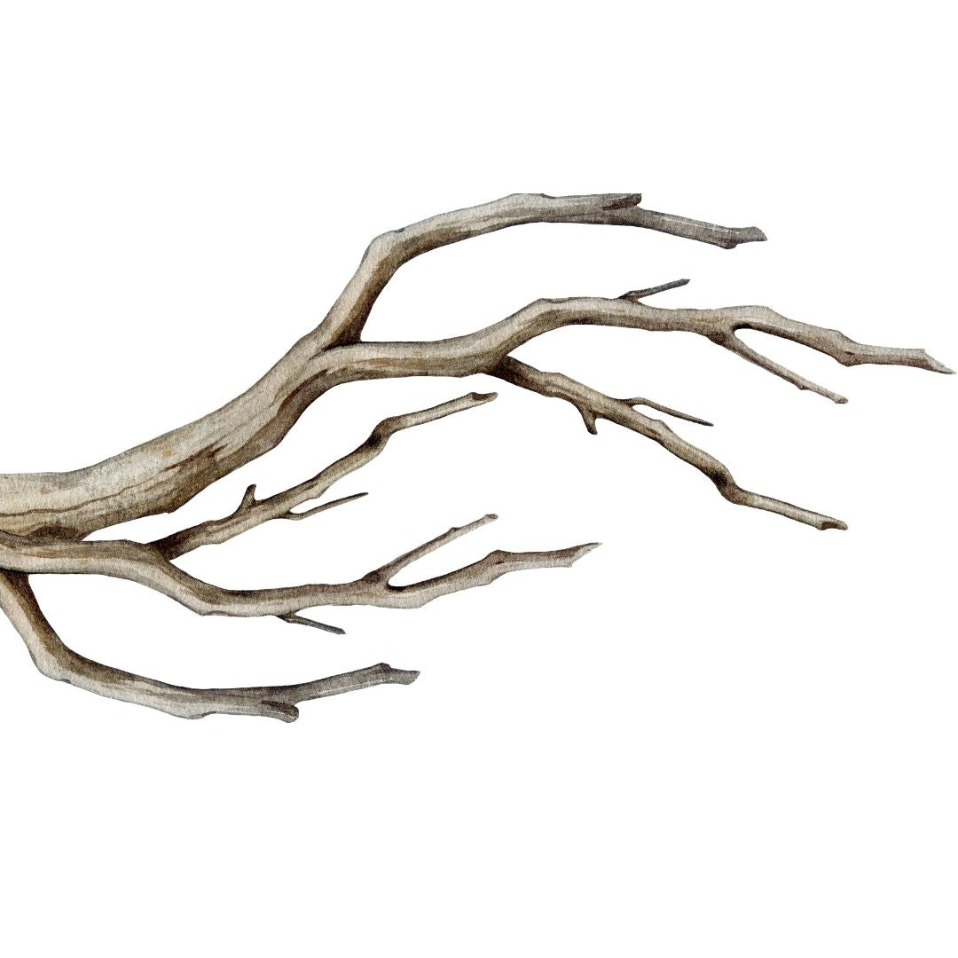 Premium Sandblasted Grapevine