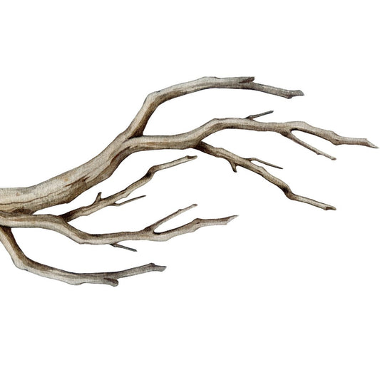 Premium Sandblasted Grapevine