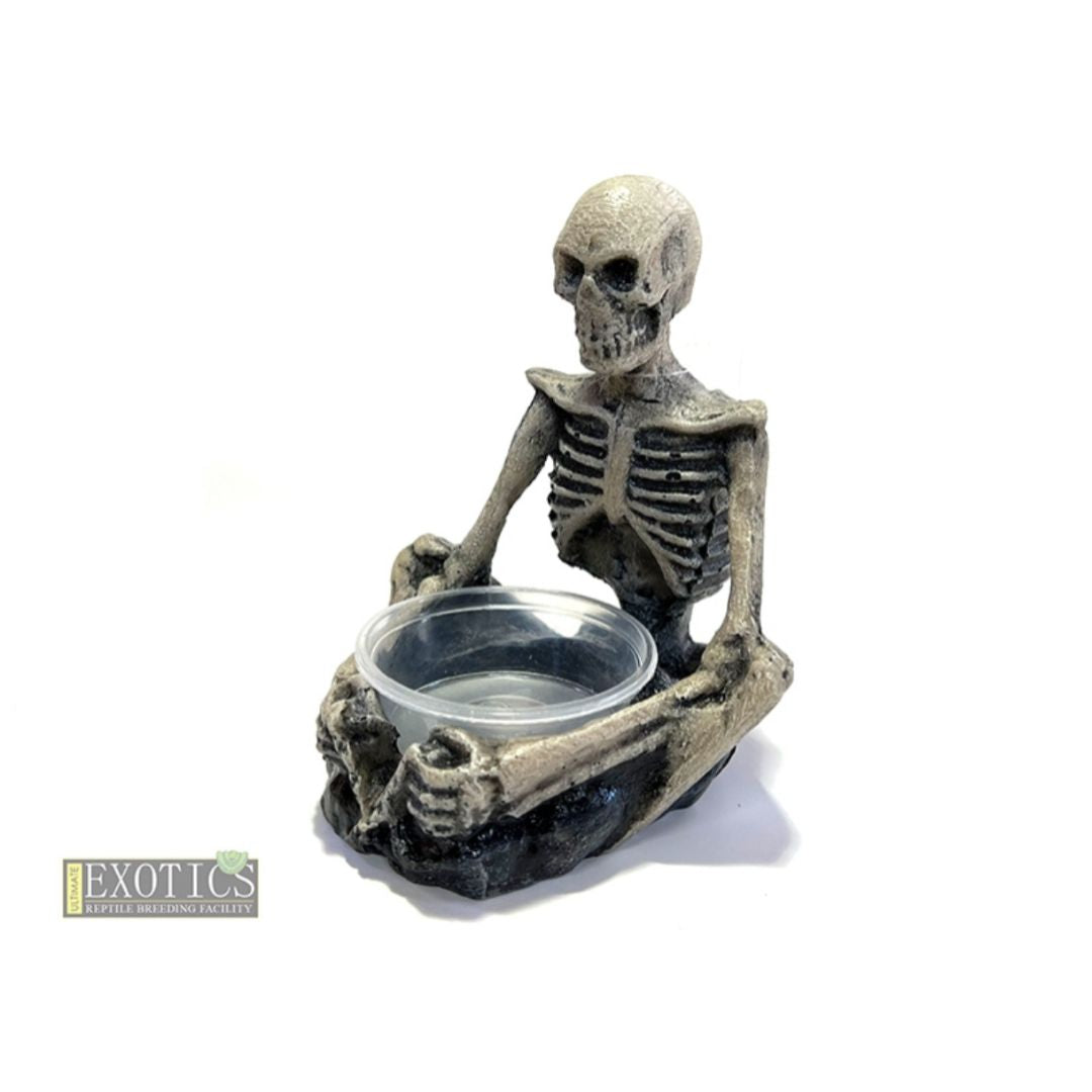 Skeleton Bowl