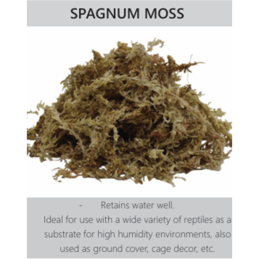 Sphagnum Moss