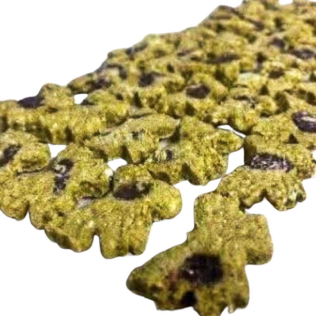 Spotted Butterflies for Rabbits, Guinea Pigs & Chinchillas